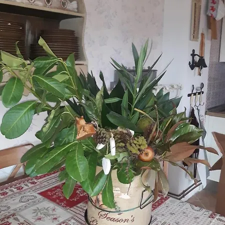 La Cerbiatta アパート *